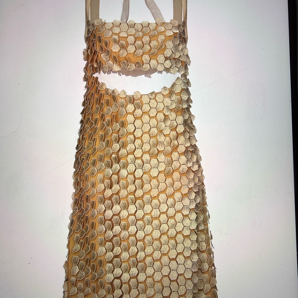 Alberta Ferriti Elegant Gold and Sheer Patterned Dress - Picture 4 of 6